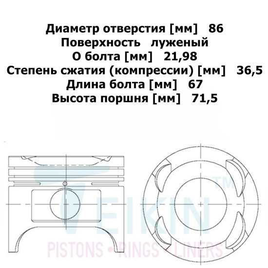 PIEA07STD_1.jpg